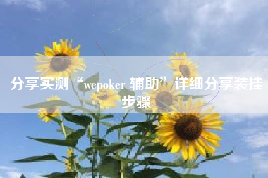 分享实测“wepoker 辅助”详细分享装挂步骤