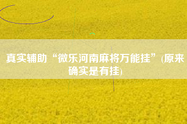 真实辅助“微乐河南麻将万能挂”(原来确实是有挂)