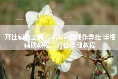 开挂辅助工具“wepoker透视作弊挂!详细辅助教程	”开挂详细教程