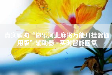 真实辅助“微乐河北麻将万能开挂器通用版”辅助器 - 实时智能回复