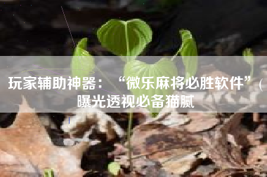 玩家辅助神器：“微乐麻将必胜软件”(曝光透视必备猫腻