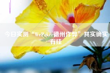 今日实测“WePoker德州作弊”其实确实有挂