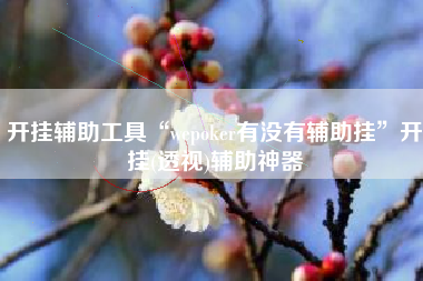 开挂辅助工具“wepoker有没有辅助挂”开挂(透视)辅助神器