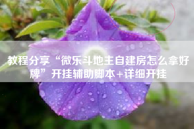 教程分享“微乐斗地主自建房怎么拿好牌”开挂辅助脚本+详细开挂