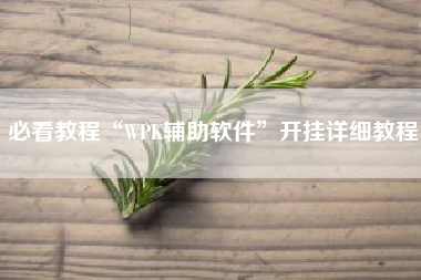 必看教程“WPK辅助软件”开挂详细教程