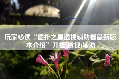 玩家必读“德扑之星透视辅助器最新版本介绍”开挂(透视)辅助