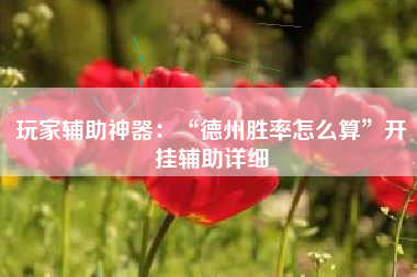 玩家辅助神器：“德州胜率怎么算”开挂辅助详细