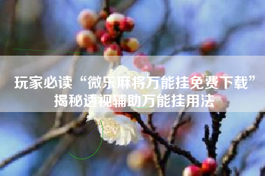 玩家必读“微乐麻将万能挂免费下载”揭秘透视辅助万能挂用法