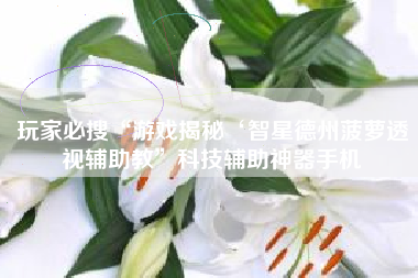 玩家必搜“游戏揭秘‘智星德州菠萝透视辅助教”科技辅助神器手机