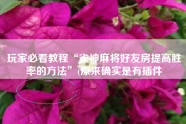 玩家必看教程“雀神麻将好友房提高胜率的方法”(原来确实是有插件