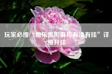 玩家必搜“微乐贵阳麻将有没有挂”详细开挂