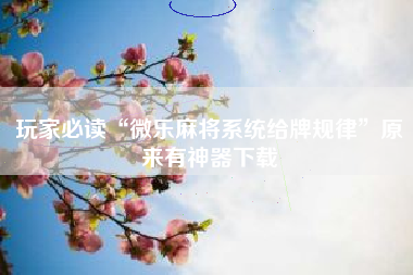 玩家必读“微乐麻将系统给牌规律”原来有神器下载