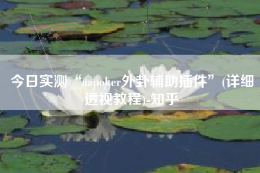 今日实测“aapoker外卦辅助插件”(详细透视教程)-知乎