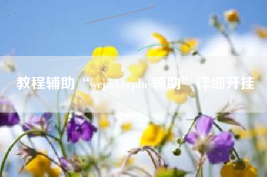 教程辅助“wepokerplus辅助”详细开挂
