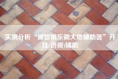 实测分析“微信微乐锄大地辅助器	”开挂(透视)辅助