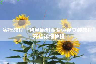 实操教程“智星德州菠萝透视安装教程	”开挂详细教程