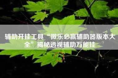 辅助开挂工具“微乐必赢辅助器版本大全	”揭秘透视辅助万能挂
