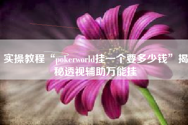 实操教程“pokerworld挂一个要多少钱”揭秘透视辅助万能挂