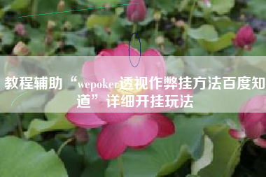 教程辅助“wepoker透视作弊挂方法百度知道	”详细开挂玩法