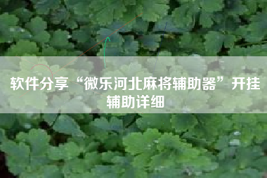 软件分享“微乐河北麻将辅助器”开挂辅助详细