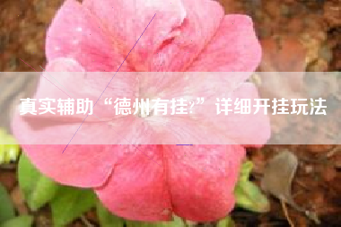 真实辅助“德州有挂?”详细开挂玩法