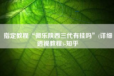 指定教程“微乐陕西三代有挂吗”(详细透视教程)-知乎