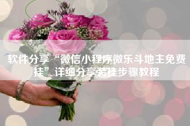 软件分享“微信小程序微乐斗地主免费挂”详细分享装挂步骤教程