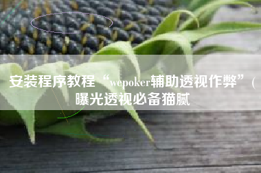 安装程序教程“wepoker辅助透视作弊	”(曝光透视必备猫腻