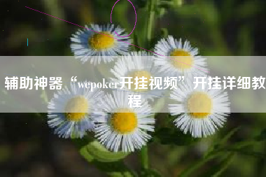 辅助神器“wepoker开挂视频”开挂详细教程
