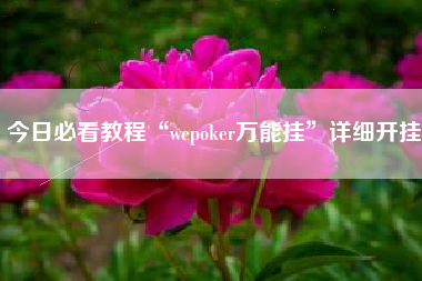 今日必看教程“wepoker万能挂	”详细开挂