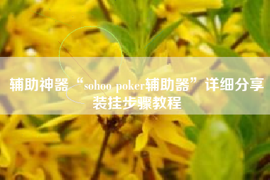 辅助神器“sohoo poker辅助器”详细分享装挂步骤教程