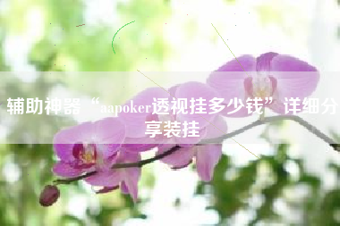 辅助神器“aapoker透视挂多少钱	”详细分享装挂