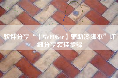 软件分享“【WePOKer】辅助器脚本”详细分享装挂步骤