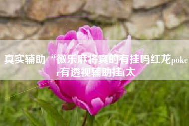 真实辅助“微乐麻将真的有挂吗红龙poker有透视辅助挂(太