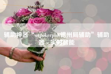 辅助神器“wepokerplus德州局辅助	”辅助器 - 实时智能