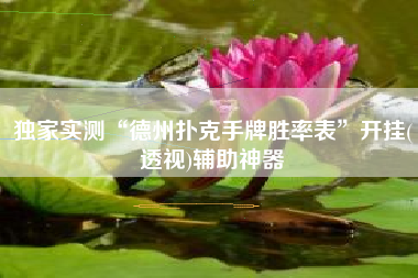 独家实测“德州扑克手牌胜率表”开挂(透视)辅助神器