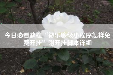 今日必看教程“微乐够级小程序怎样免费开挂”附开挂脚本详细