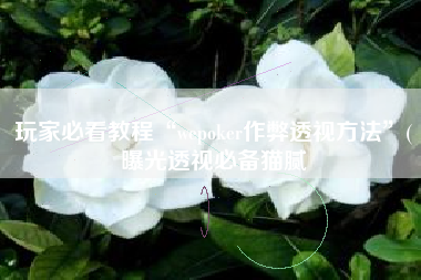 玩家必看教程“wepoker作弊透视方法”(曝光透视必备猫腻