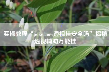 实操教程“pokernow透视挂安全吗”揭秘透视辅助万能挂