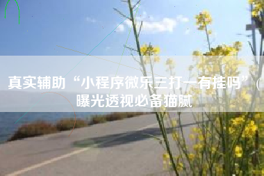 真实辅助“小程序微乐三打一有挂吗	”(曝光透视必备猫腻