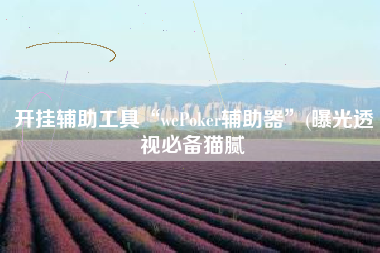开挂辅助工具“wePoker辅助器”(曝光透视必备猫腻