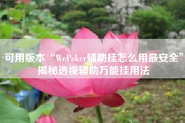 可用版本“WePoker辅助挂怎么用最安全”揭秘透视辅助万能挂用法