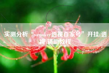 实测分析“wepoker透视百家号”开挂(透视)辅助教程