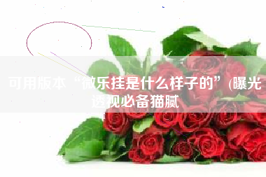 可用版本“微乐挂是什么样子的”(曝光透视必备猫腻