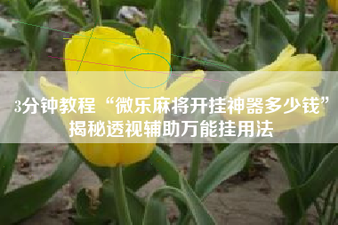 3分钟教程“微乐麻将开挂神器多少钱”揭秘透视辅助万能挂用法