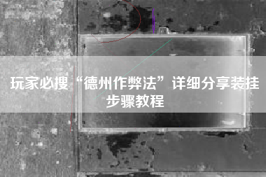 玩家必搜“德州作弊法”详细分享装挂步骤教程