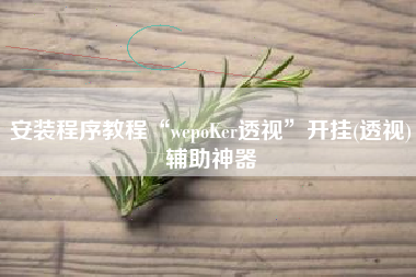 安装程序教程“wepoKer透视”开挂(透视)辅助神器