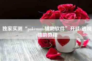 独家实测“pokemmo辅助软件”开挂(透视)辅助教程