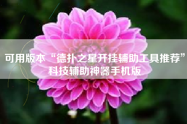 可用版本“德扑之星开挂辅助工具推荐”科技辅助神器手机版