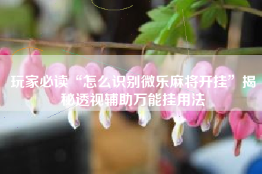 玩家必读“怎么识别微乐麻将开挂”揭秘透视辅助万能挂用法